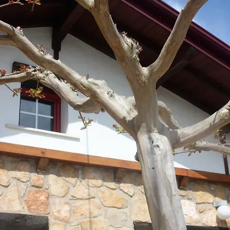 Vakantiehuis Casa Da Maria Carolina *